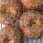 all day bagel